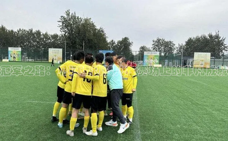 qy球友会体育