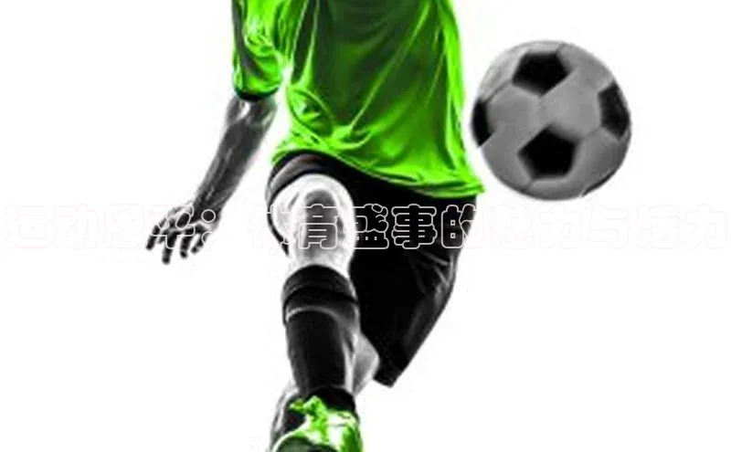 qy球友会app官网