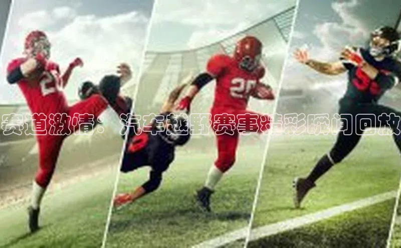 qy球友会体育官网下载