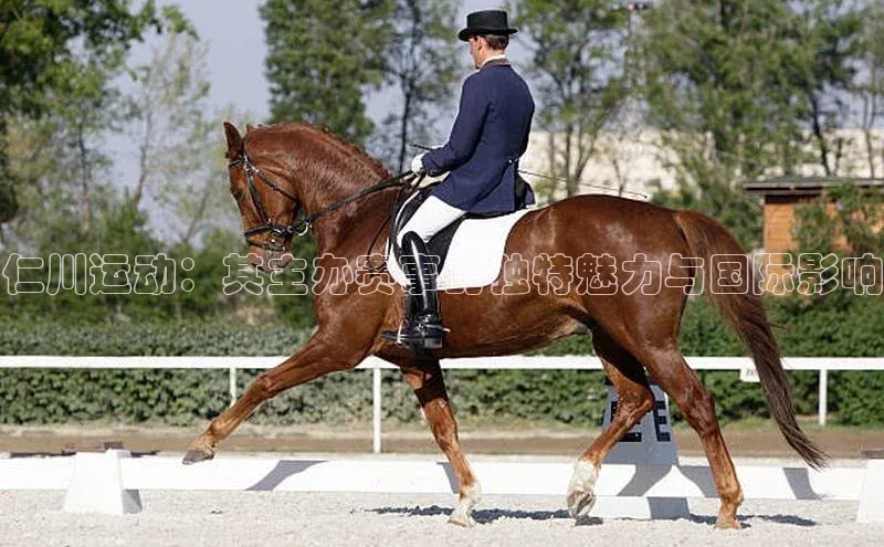 QY球友会-充值中心