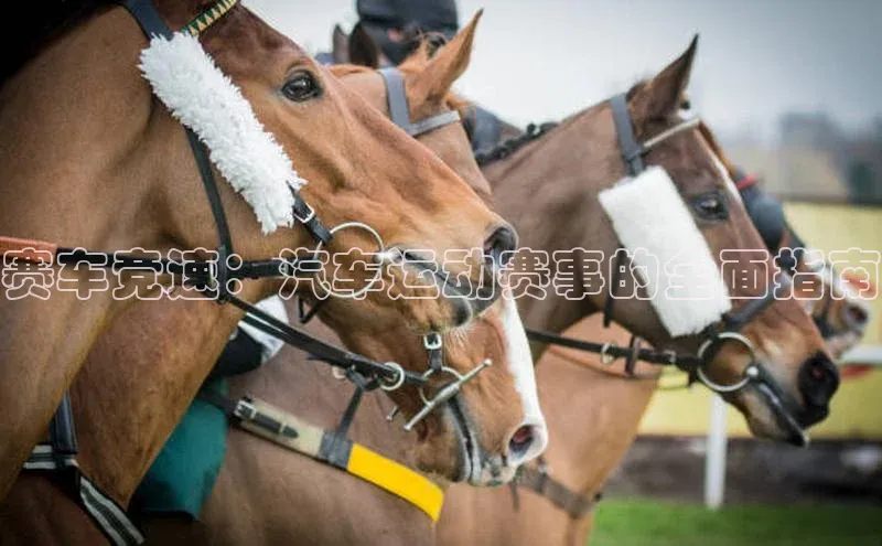 球友体育app官方入口