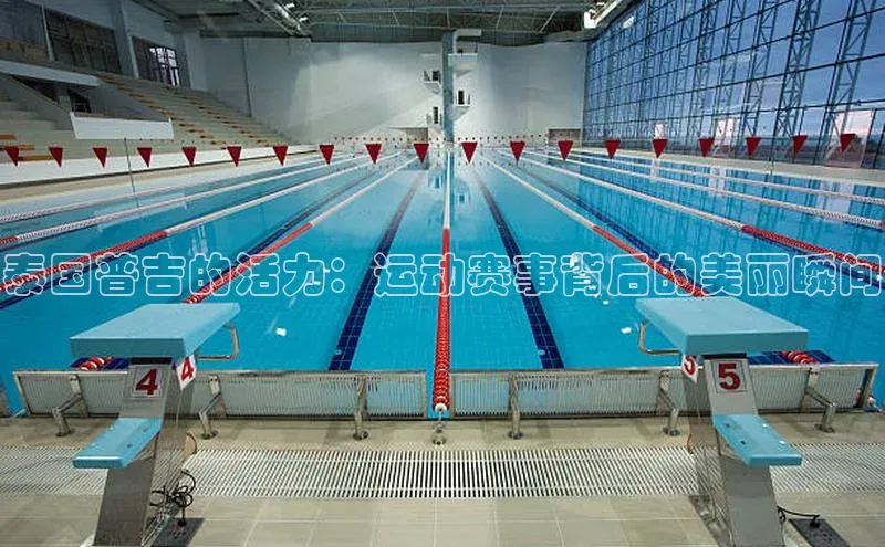 qy球友会-官方网站