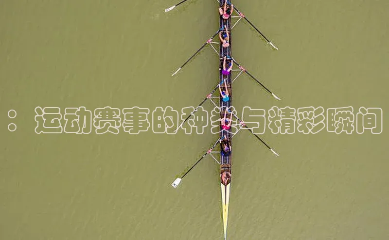 ：运动赛事的种类与精彩瞬间